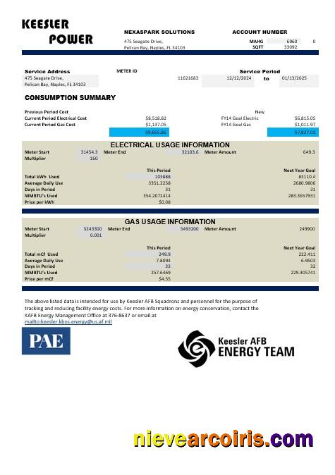 USA Mississippi Keesler AFB Energy business utility bill